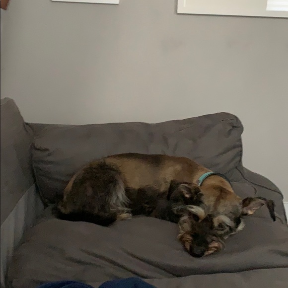 Meet your Posher, Andy - Picture 1 of 1